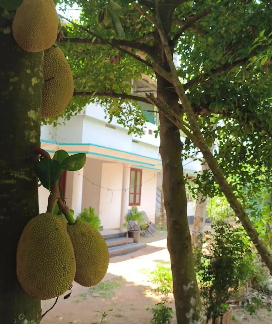 Secret Paradise Farm Cottages Varkala Farm stay