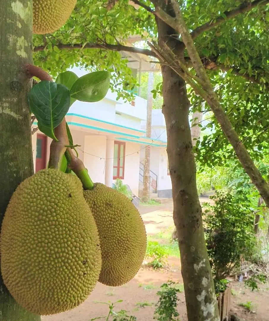 Farm stay Secret Paradise Farm Cottages Varkala India